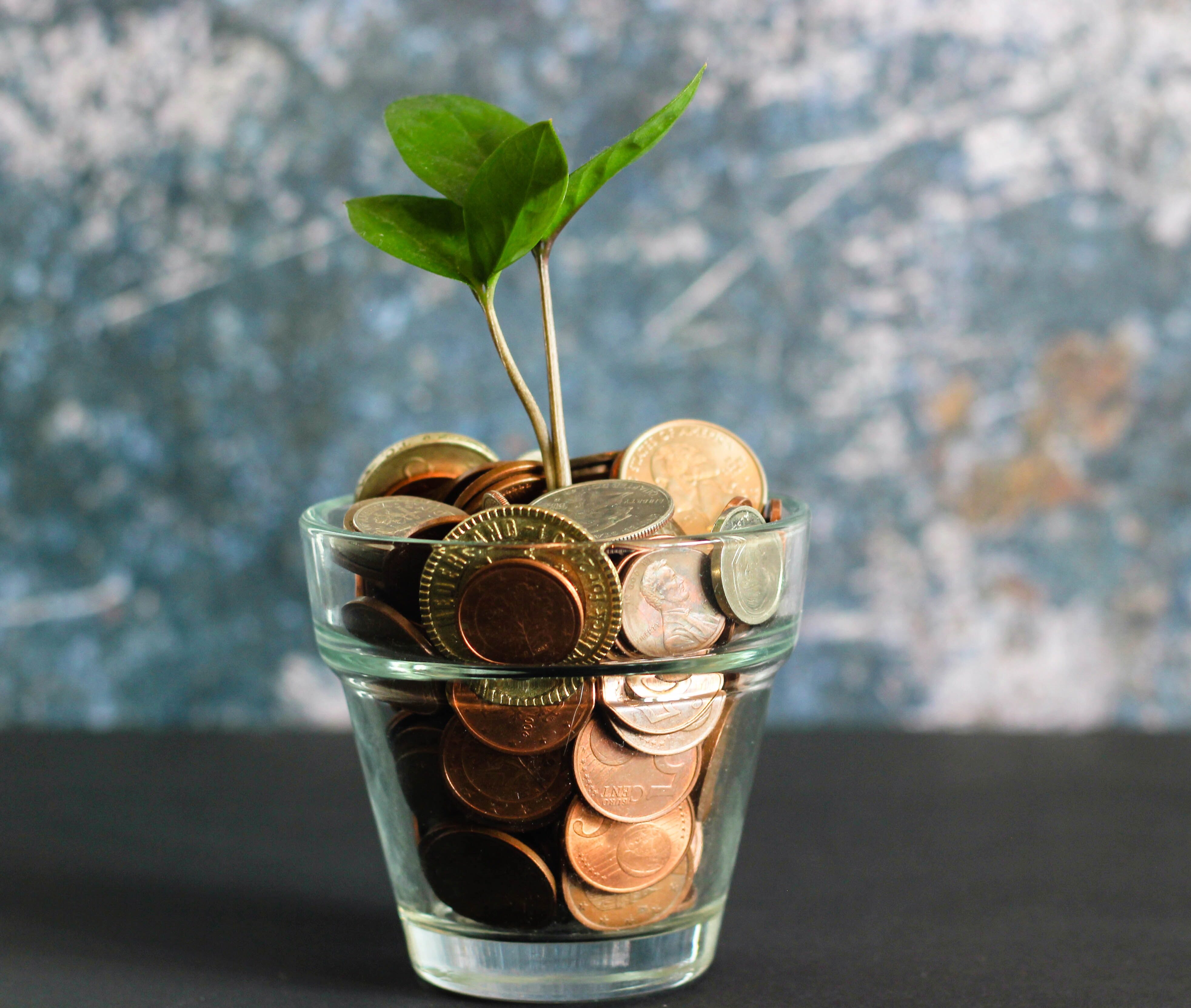 Photo by Micheile Henderson on Unsplash